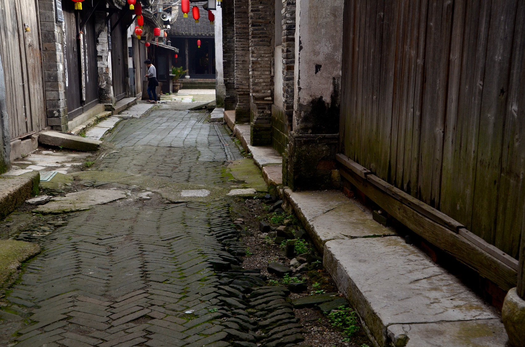 DSC_3419.jpg