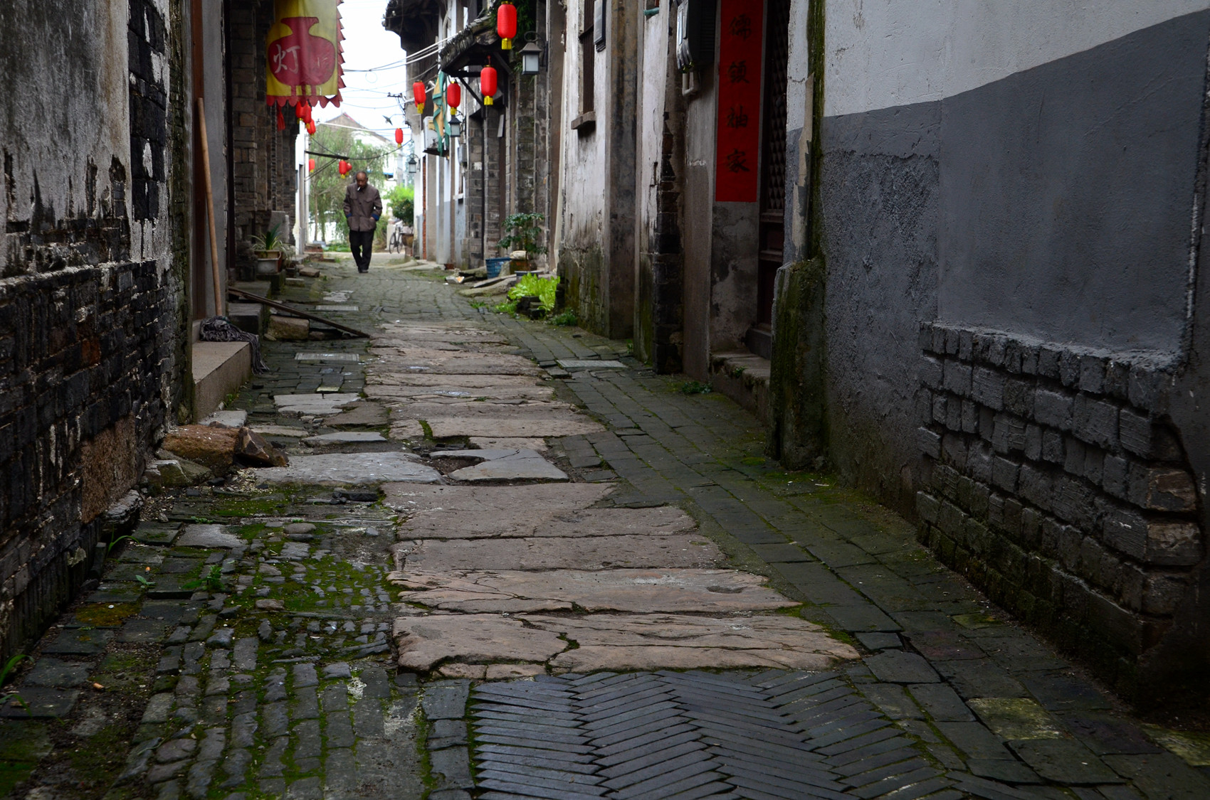 DSC_3462.jpg