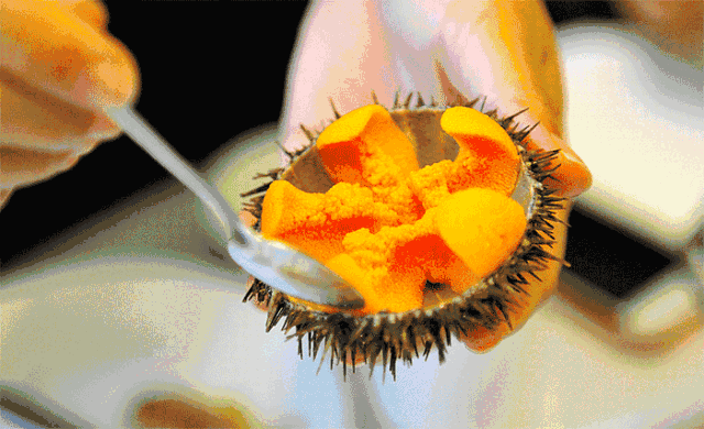 1b2330689cfb834a58267027e563cc23.gif