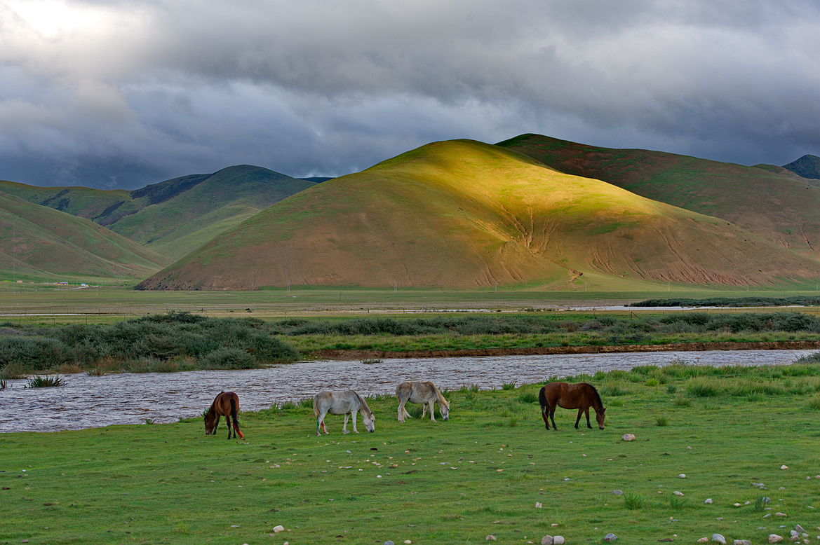 DSC_6732_副本.jpg