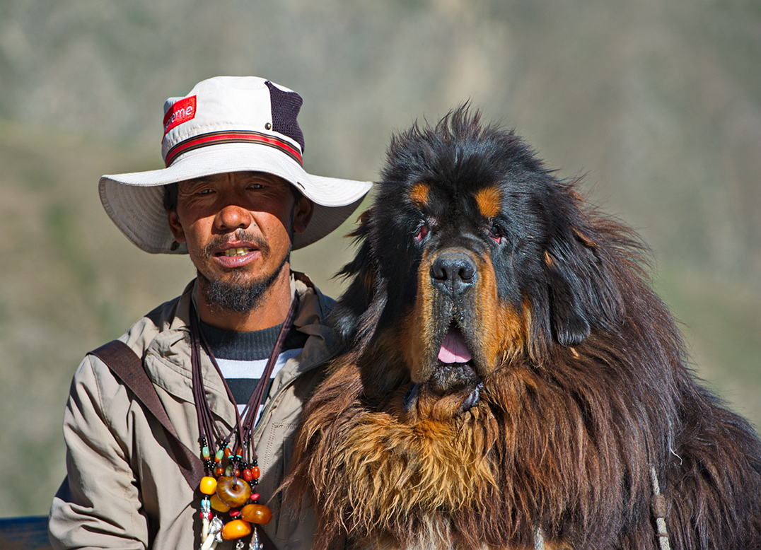 DSC_6808_副本.jpg