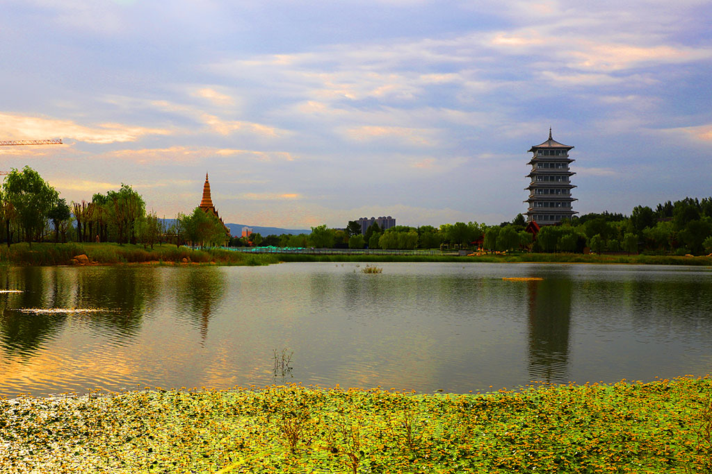 IMG_8705副本.jpg