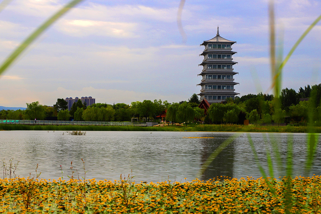 IMG_8703副本.jpg
