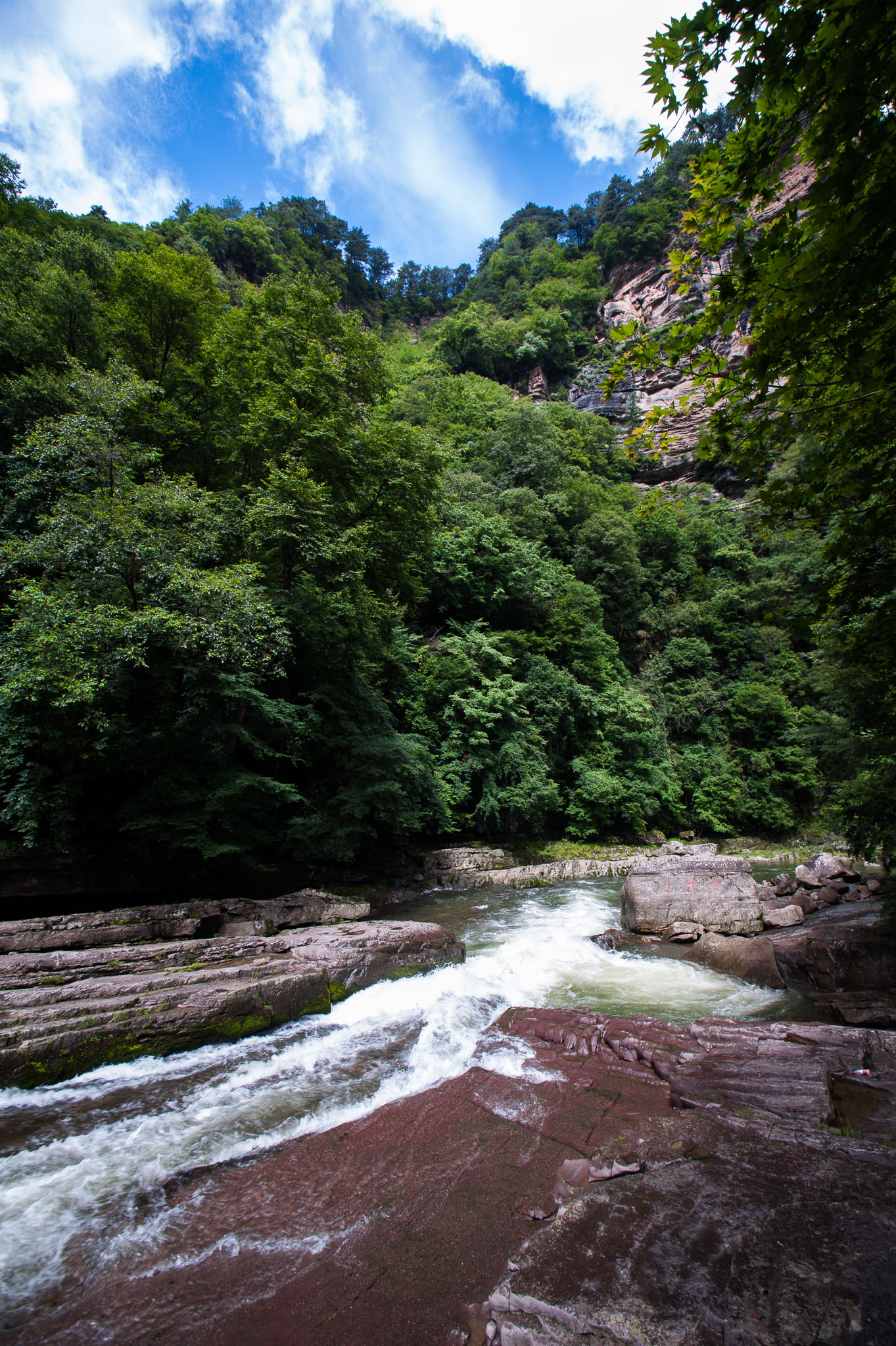 DSC_7495.jpg