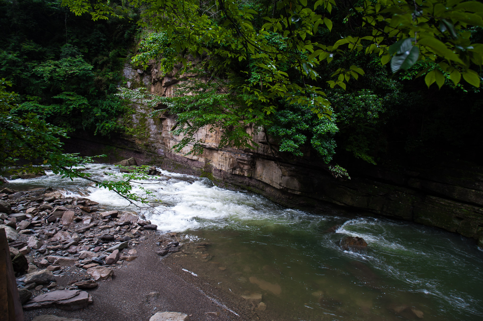 DSC_7517.jpg