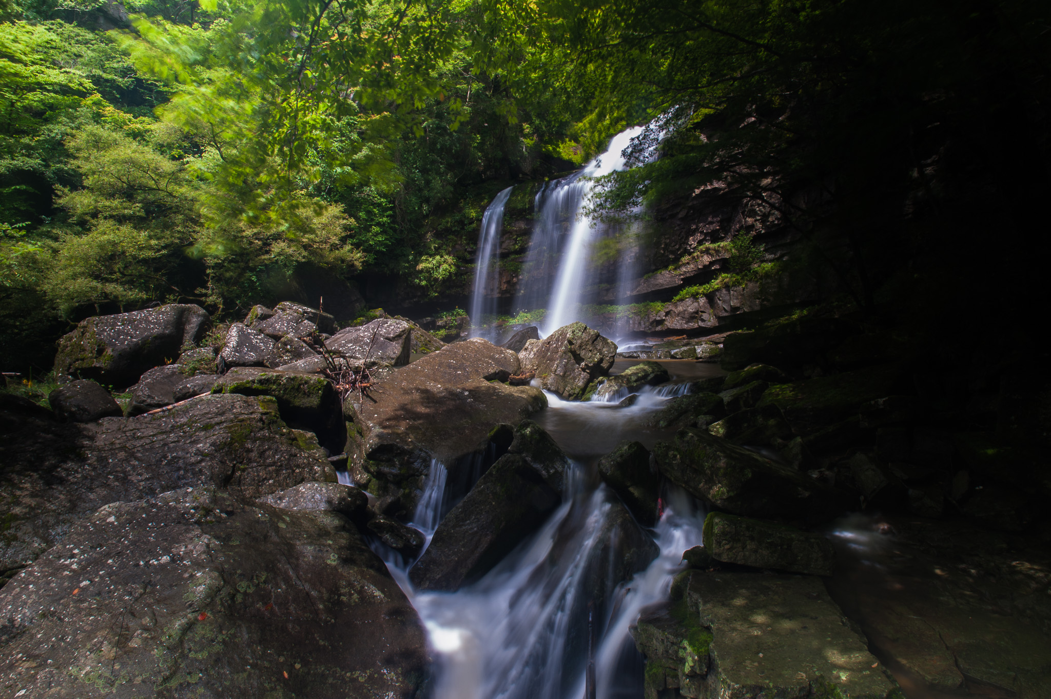 DSC_7557.jpg