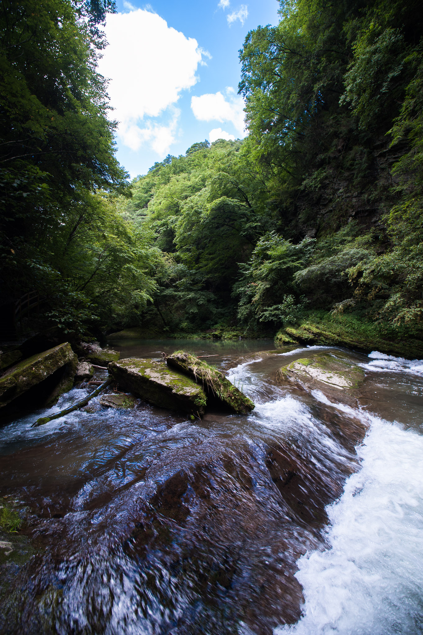 DSC_7709.jpg