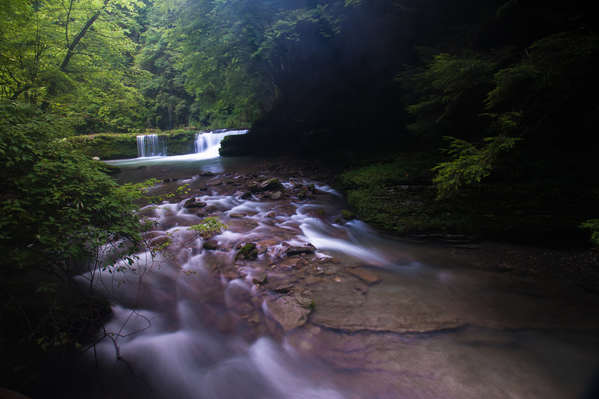 DSC_7732.jpg