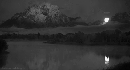 2f97ffd6ab0887173fe79bc4226a1e61.gif