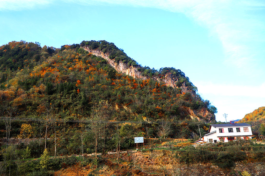IMG_6934副本.jpg