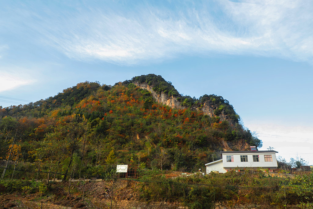 IMG_6938副本.jpg