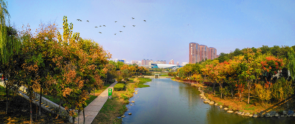 未标题_全景图.1副本.jpg