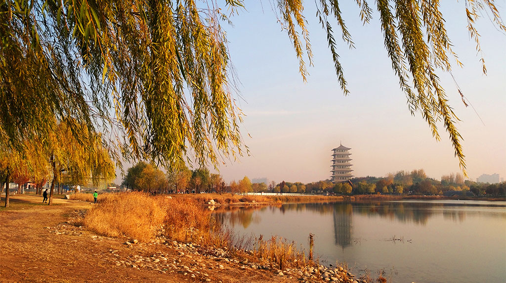 IMG_20181123_160808副本.jpg