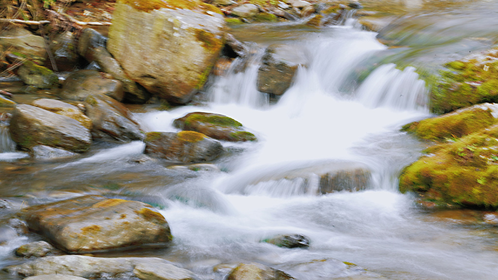 DSC_3619.jpg
