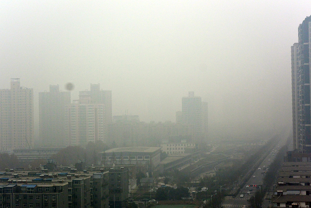 DSC_0392压缩.jpg