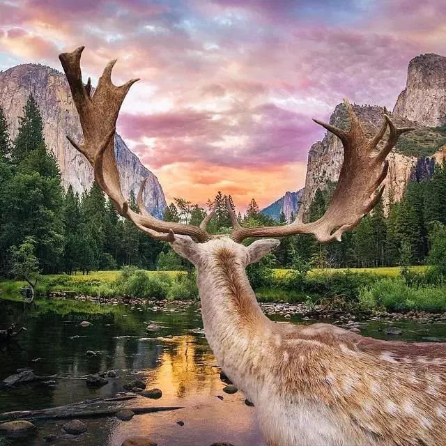 335f8c8952e57c79b6d121341fc24e7e.jpg