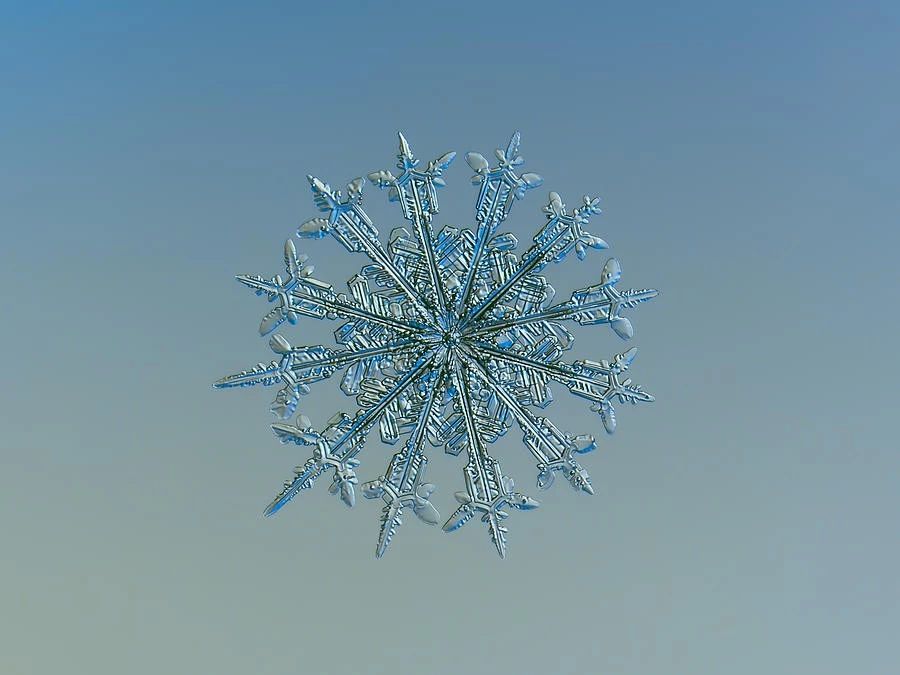 e6e09ac1bcabedaecd7eba097d2ce8a4.jpg