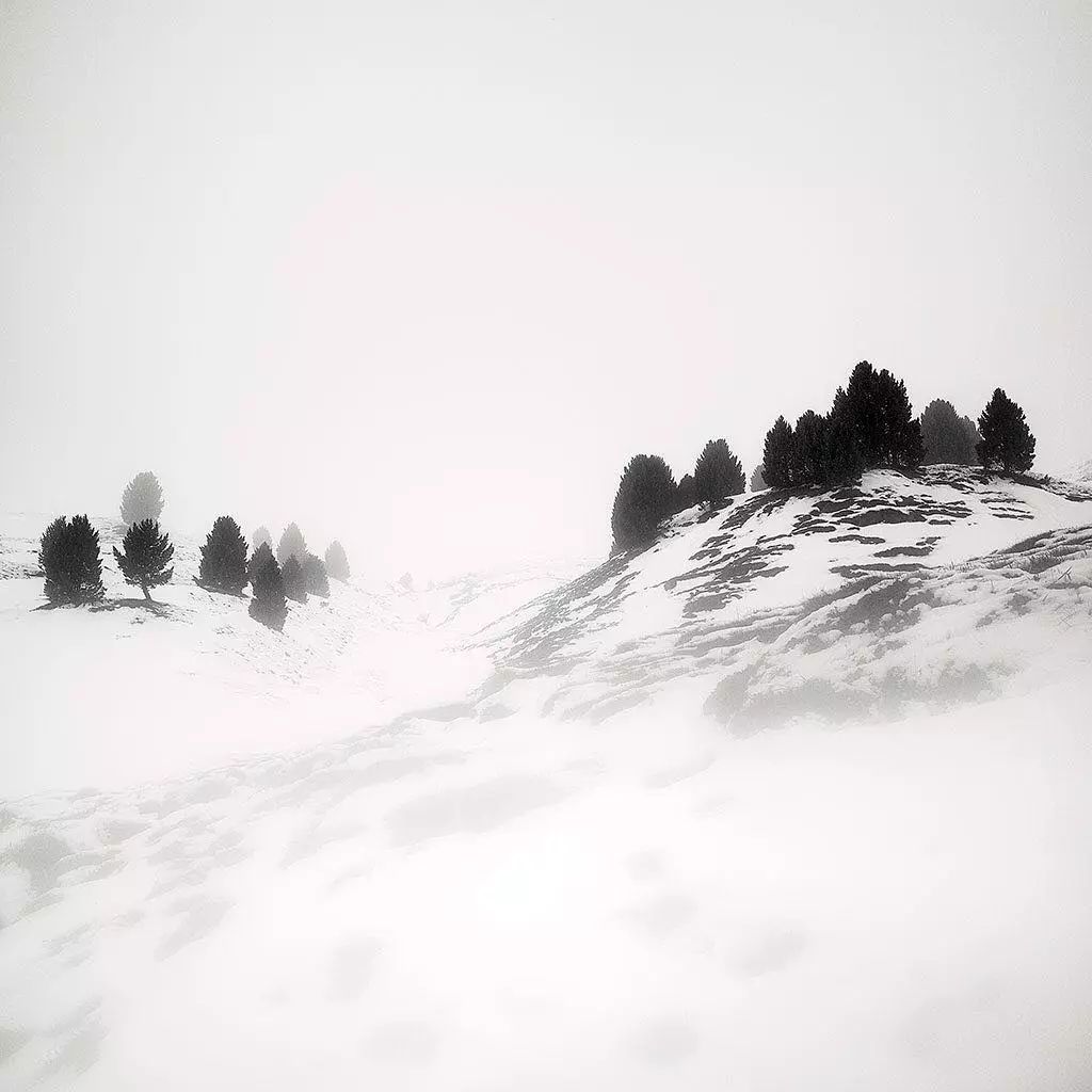 93186e689eb97d27d4a2281251c68c67.jpg