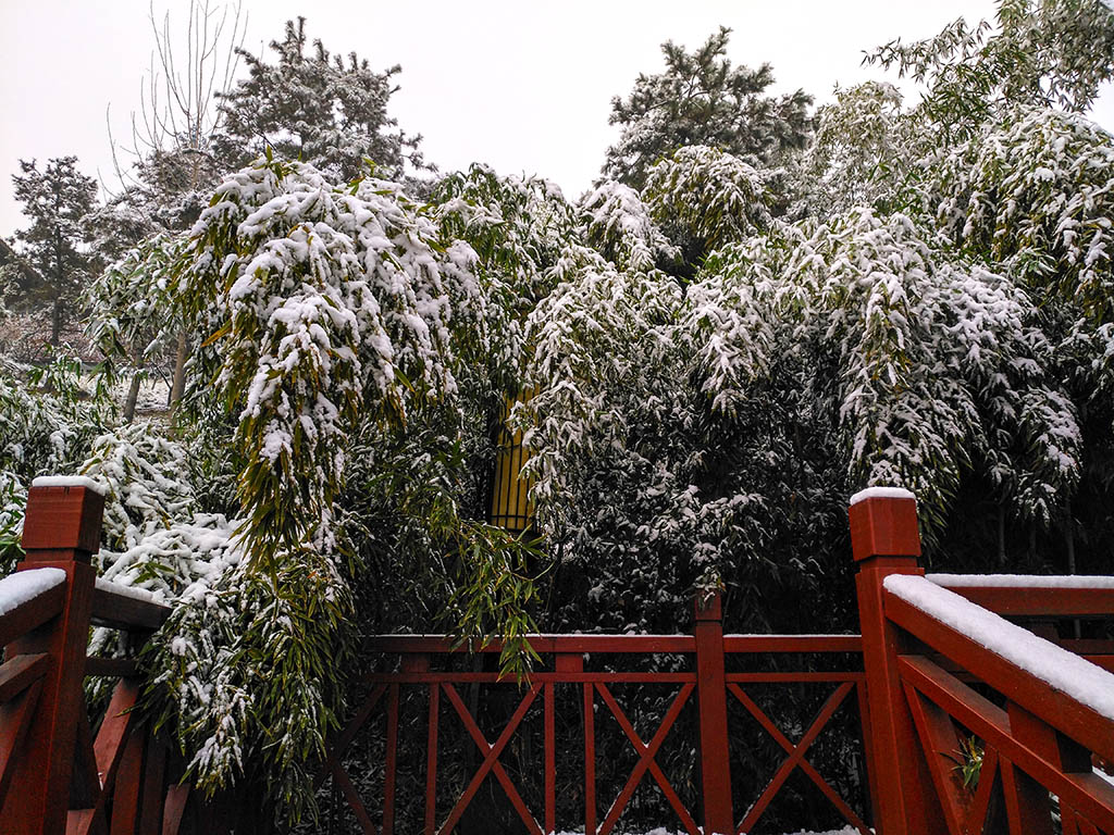 IMG_20190218_095539副本.jpg