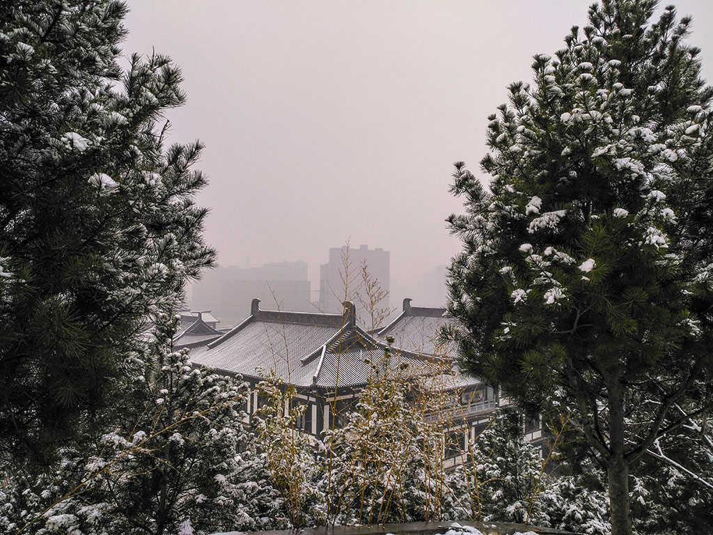 IMG_20190218_101610副本.jpg