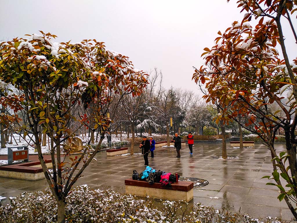 IMG_20190218_103950副本.jpg