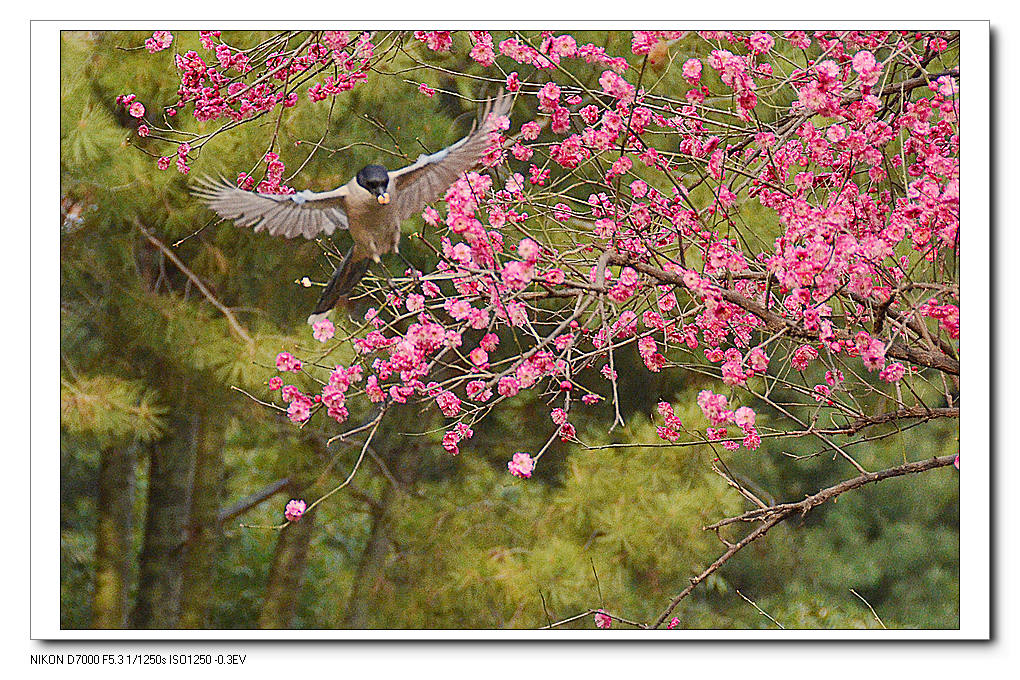 nEO_IMG_DSC_6005.jpg