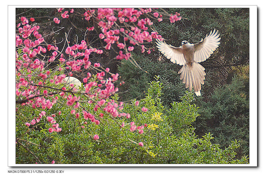 nEO_IMG_DSC_6112.jpg