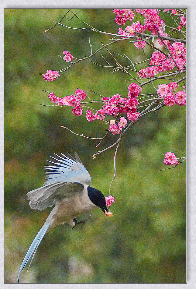 nEO_IMG_DSC_6249.jpg