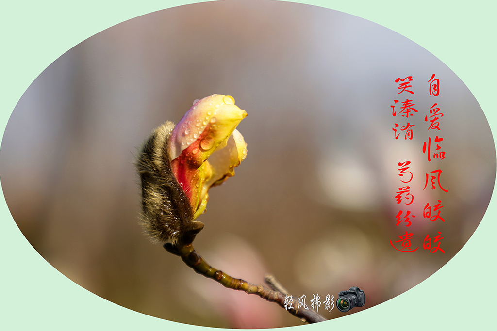 IMG_0744.1.jpg