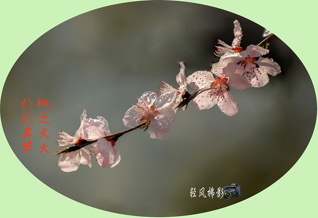 IMG_0751副本2..jpg