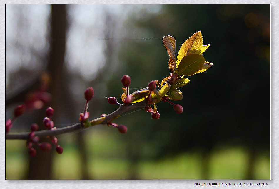 nEO_IMG_DSC_6851.jpg