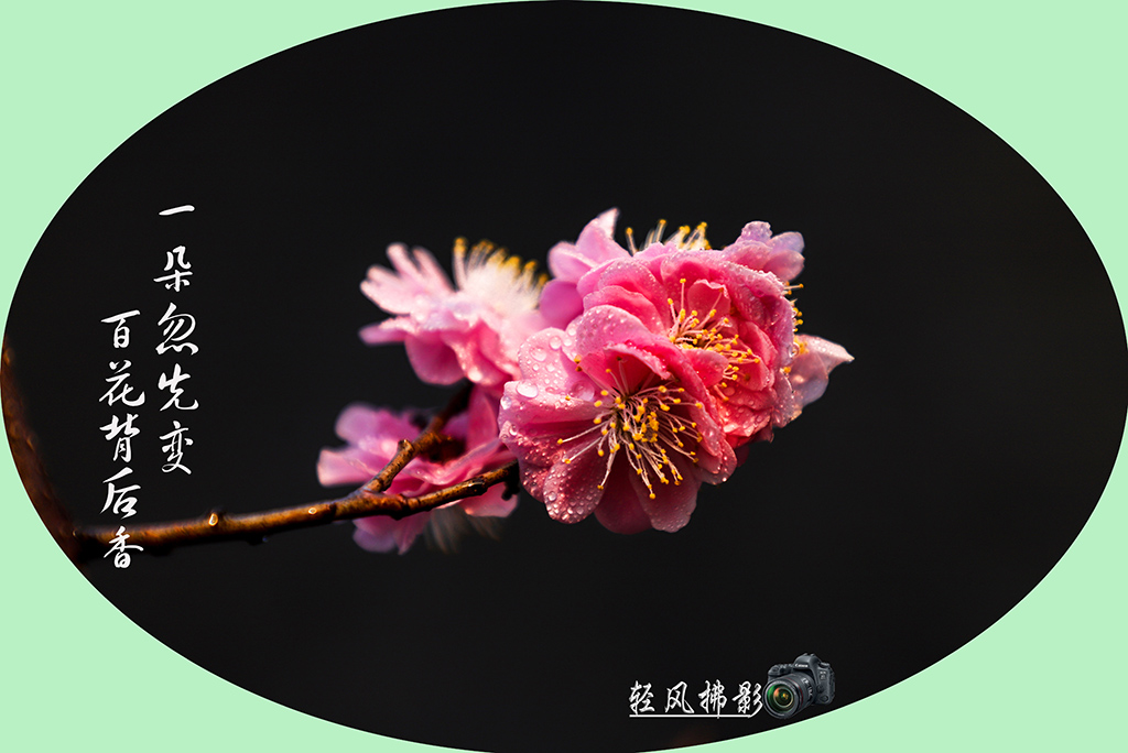 IMG_0976.副本1.jpg