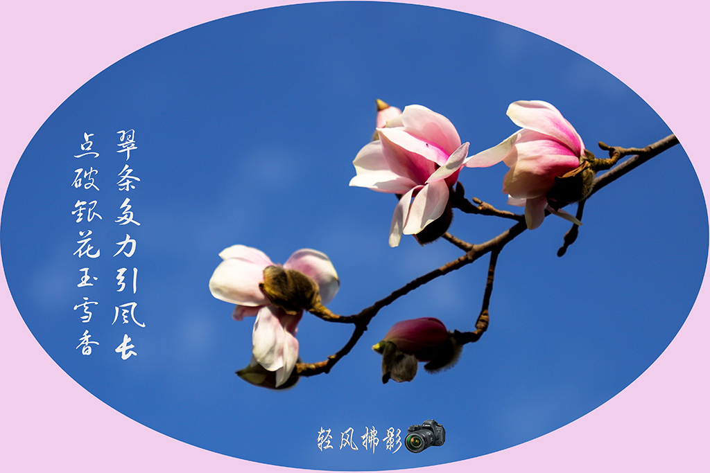 IMG_0748副.本1.jpg