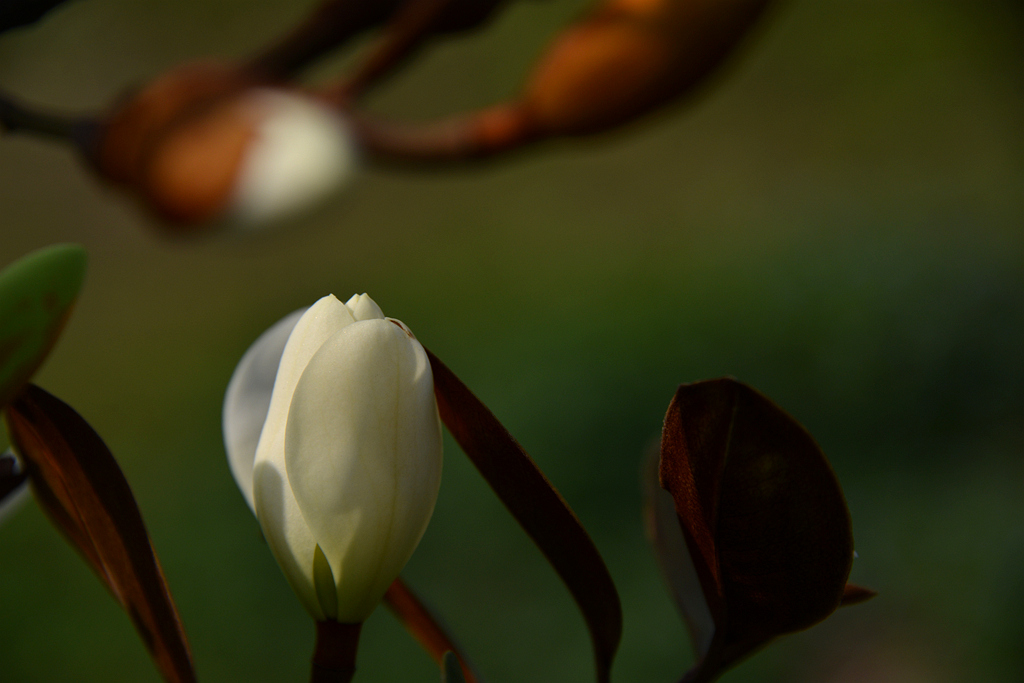 DSC_3707.JPG