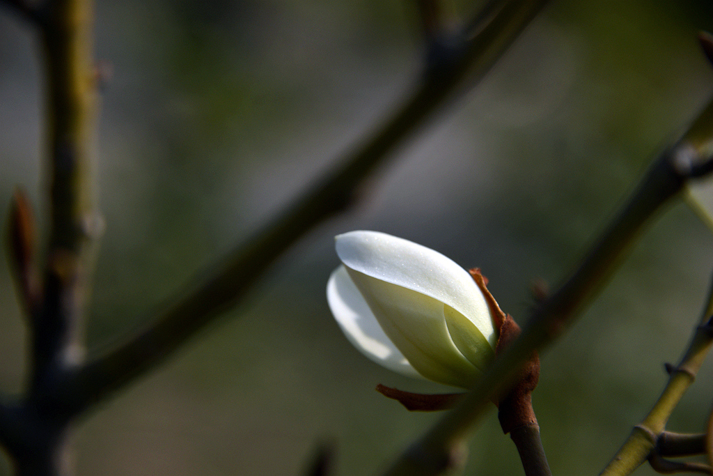 DSC_3731.JPG