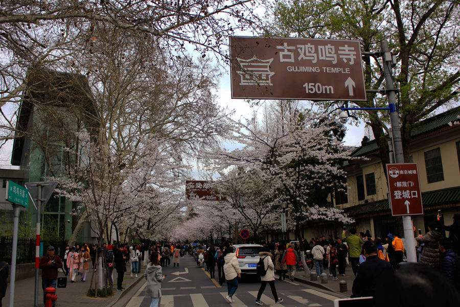 IMG2910.jpg