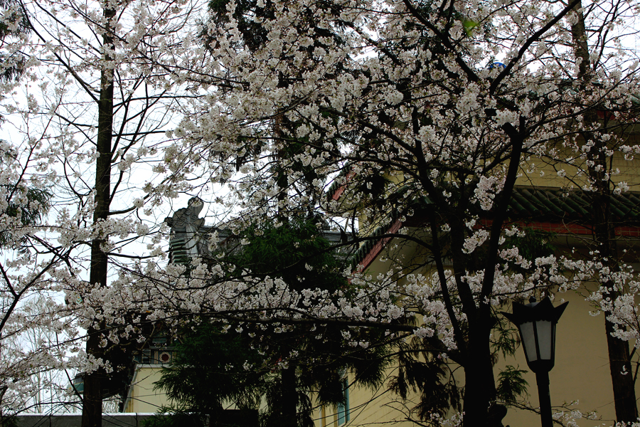 IMG3077.jpg