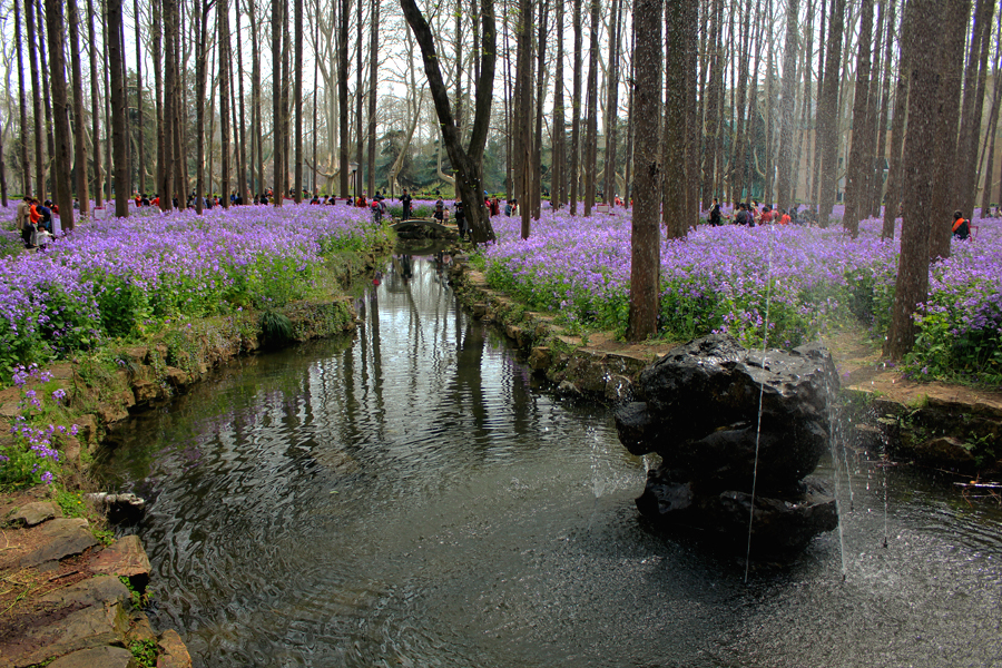 IMG3489.jpg