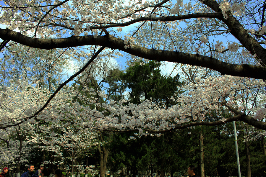 IMG3440.jpg