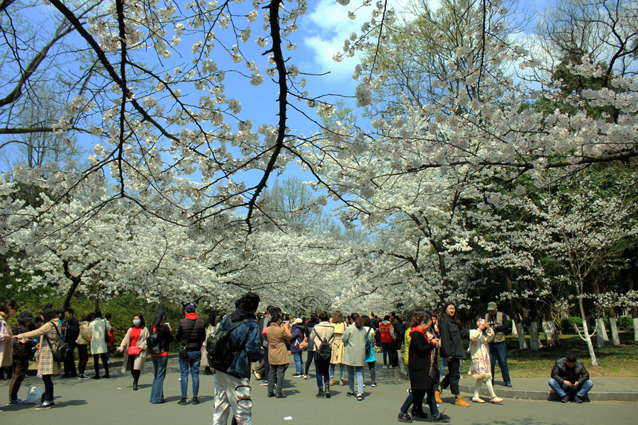 IMG3441.jpg