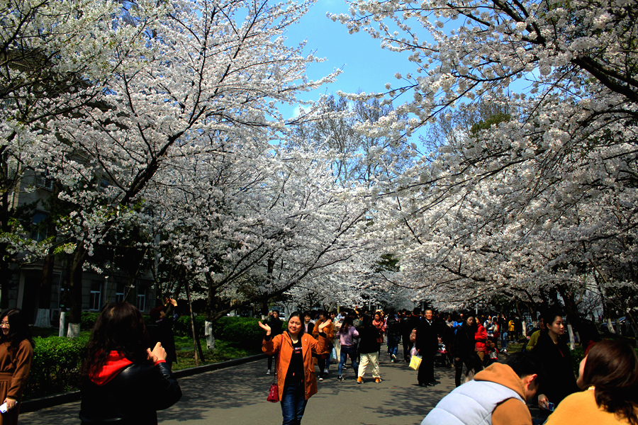 IMG3457.jpg