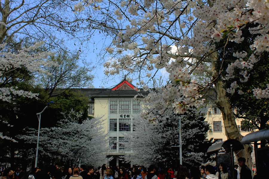 IMG3466.jpg