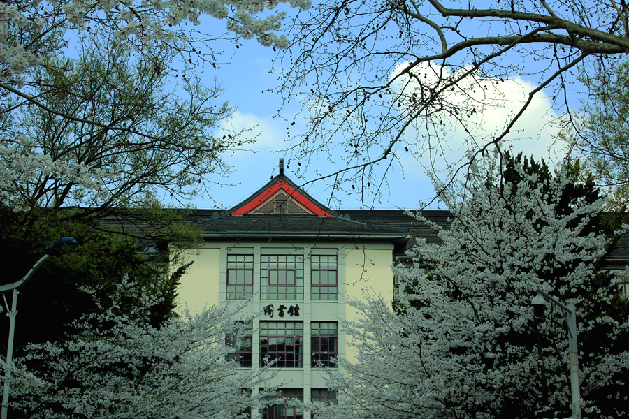 IMG3469.jpg