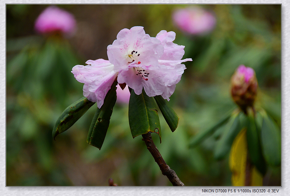 nEO_IMG_DSC_7759.jpg