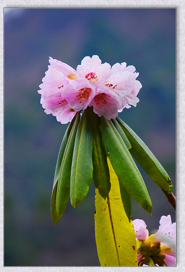 nEO_IMG_DSC_7744.jpg