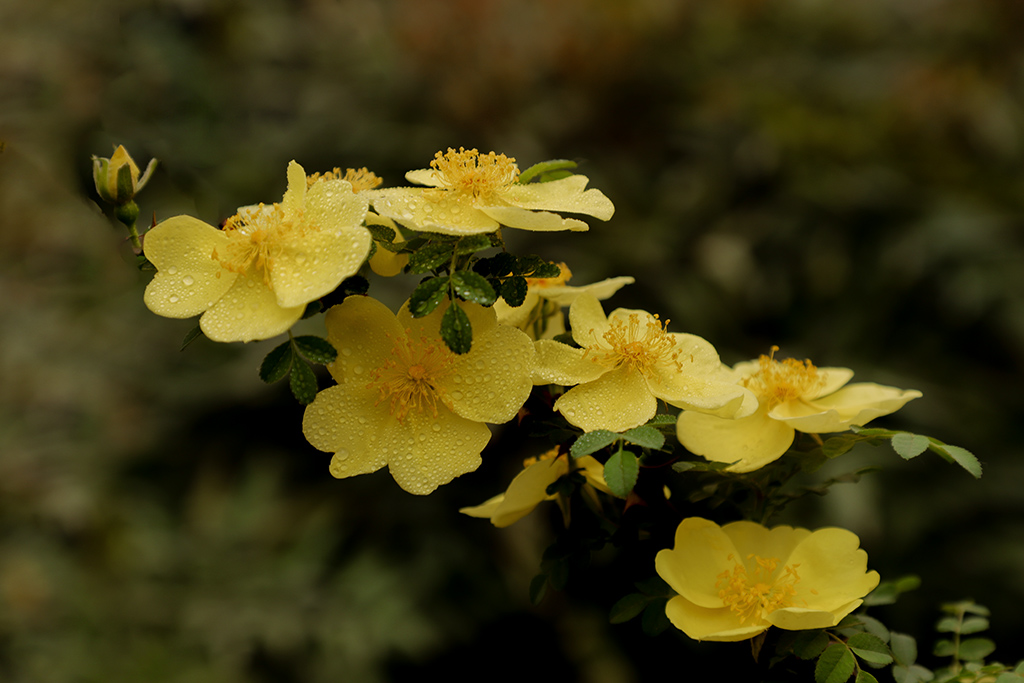 IMG_8152副本.jpg