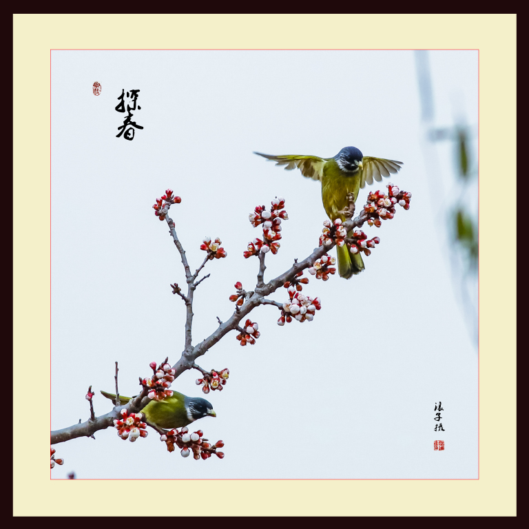 _0C14284副本副本2.jpg