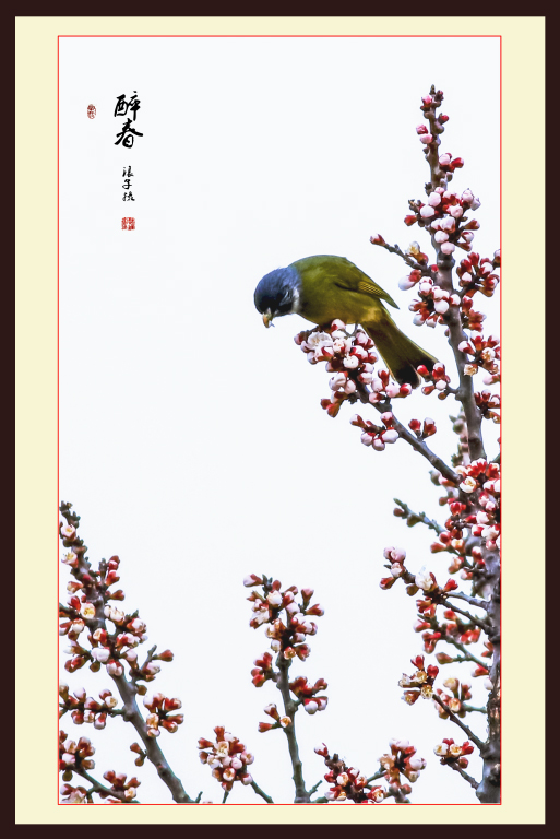 _0C14292副本副本2.jpg