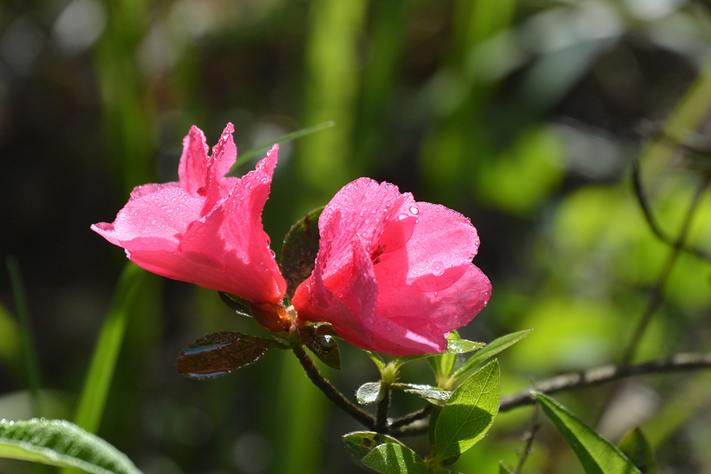 DSC_1319副本.jpg