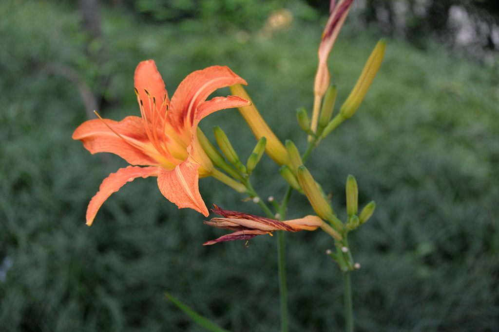 DSC_1358副本.jpg